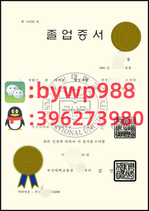 釜山国立大学 Pusan National University 毕业证模版 成绩单样本